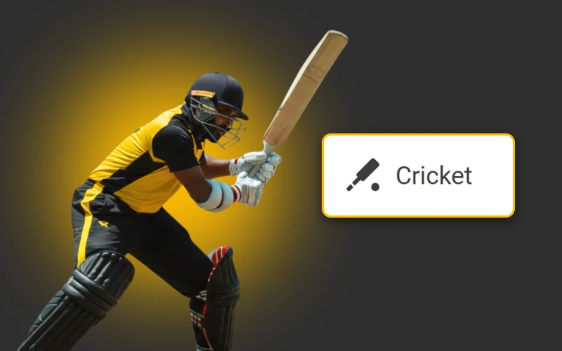 Cricket fans in India follow matches easily through the Melbet application.