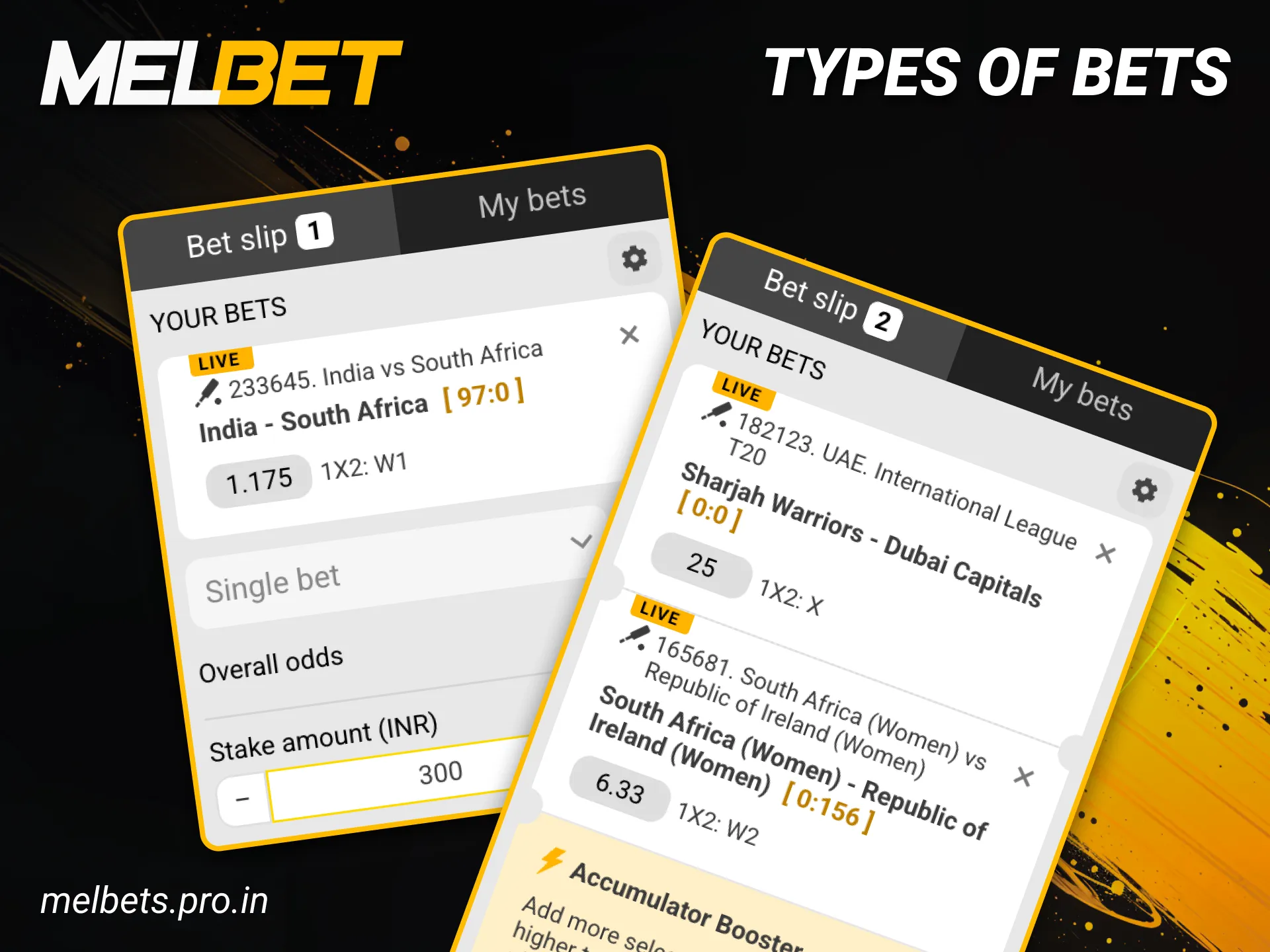 Win now by placing a bet on cricket at Melbet.